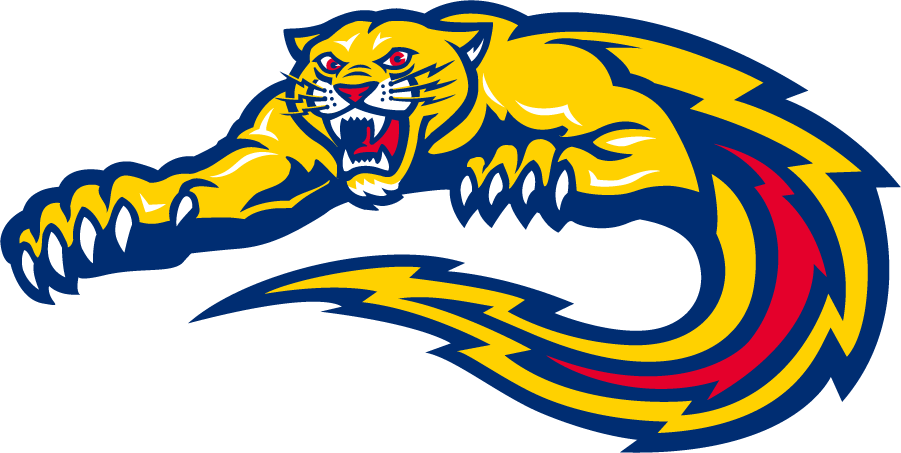FIU Panthers 1996-2001 Secondary Logo v2 diy iron on heat transfer
